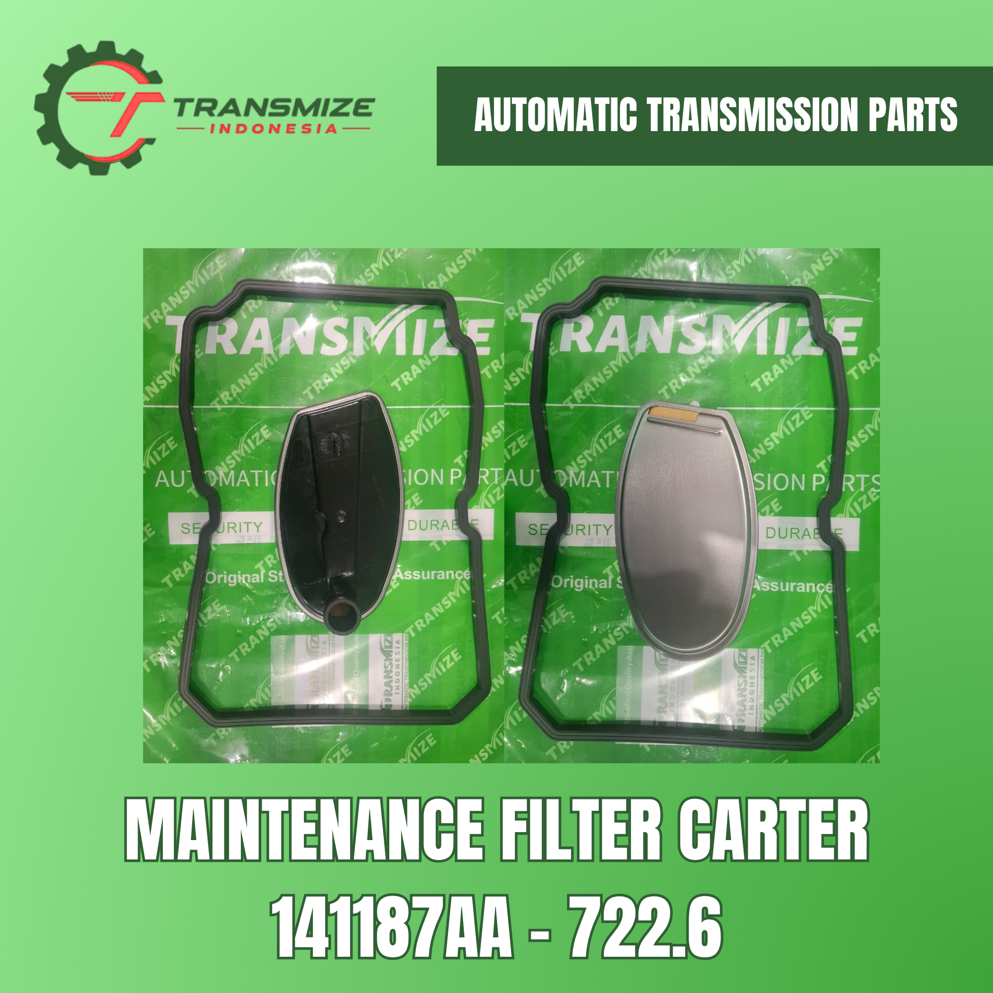 Maintenance Filter Carter 141187AA - 722.6