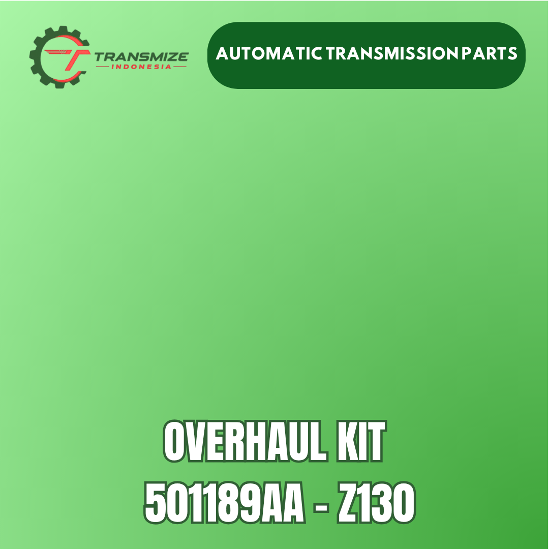 Overhaul Kit 501189AA - Z130