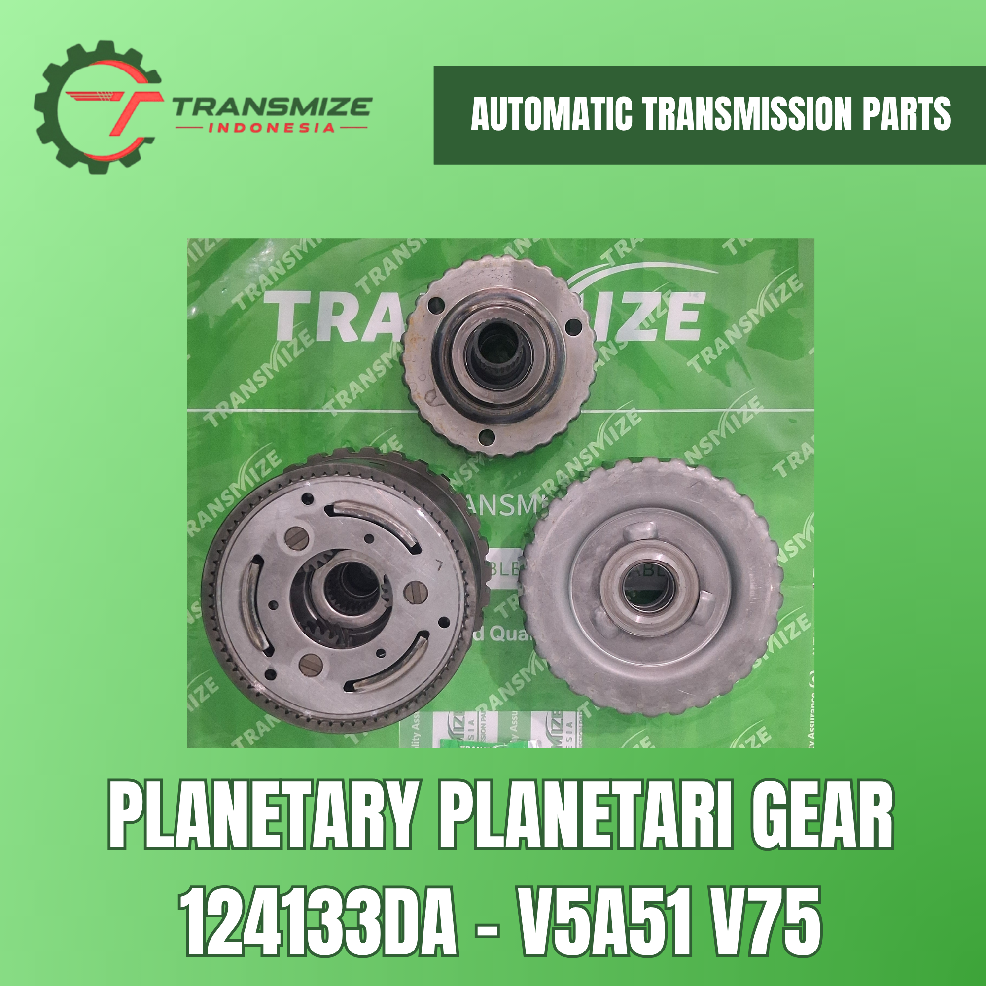 Planetary Gear 124133DA