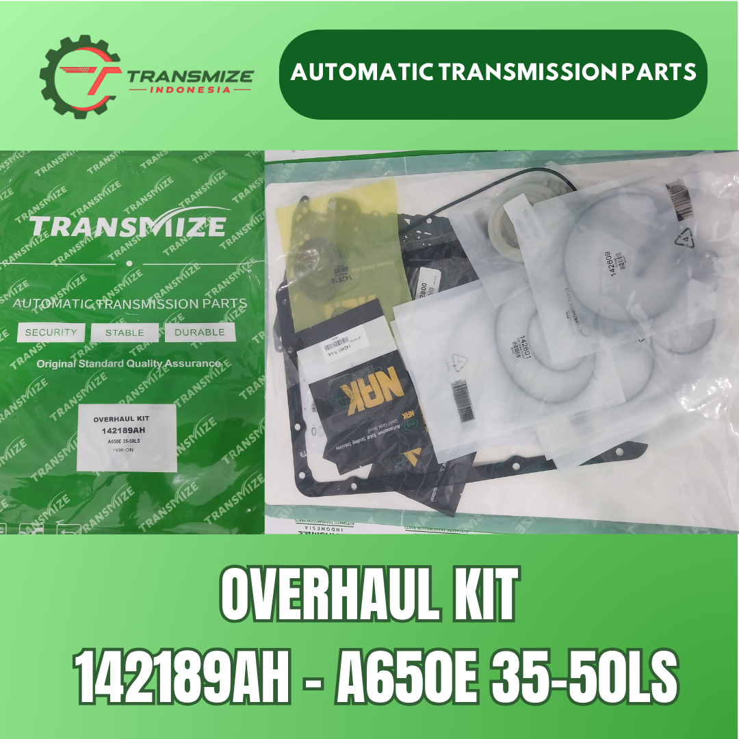 Overhaul Kit 142189AH
