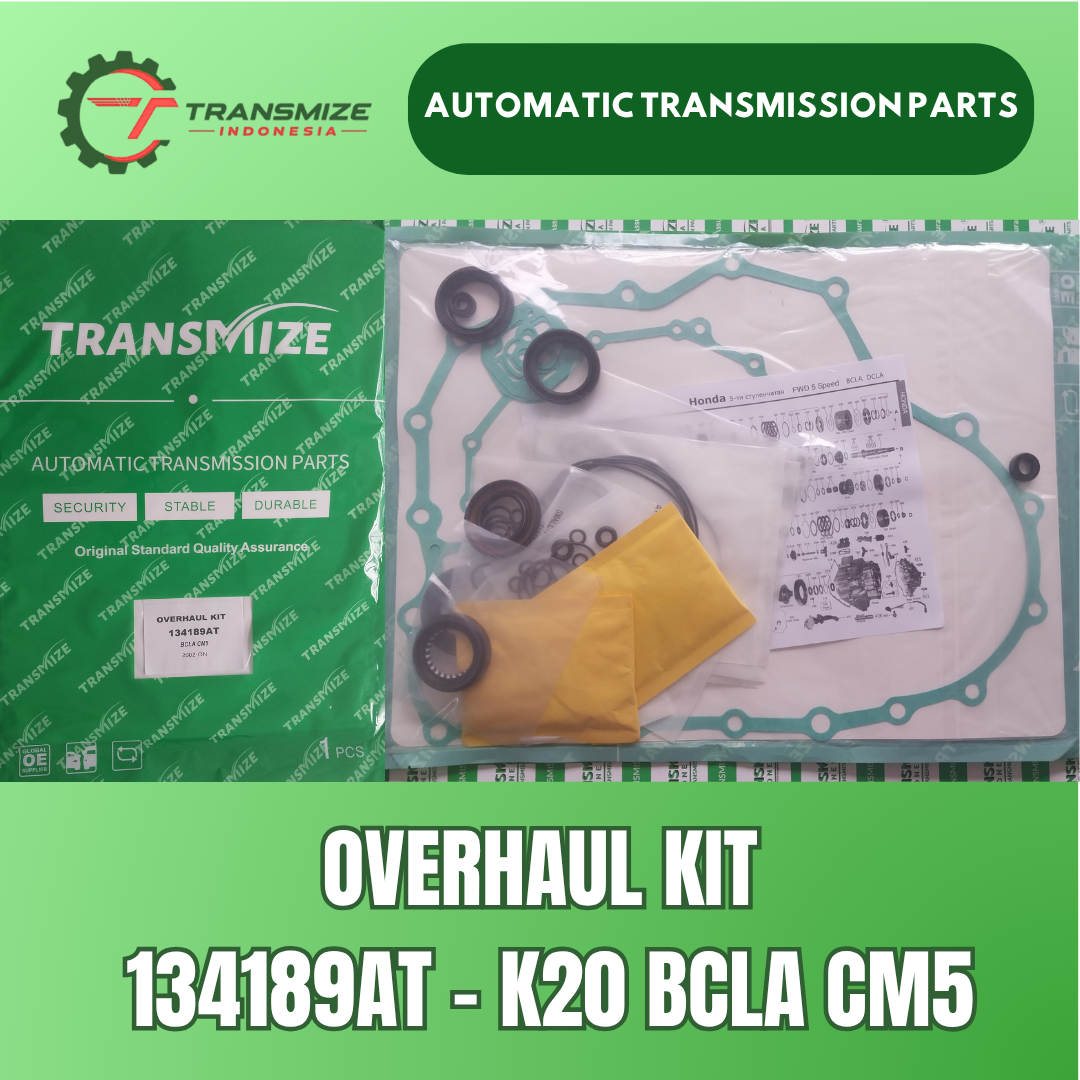 Overhaul Kit 134189AT K20 BCLA CM5
