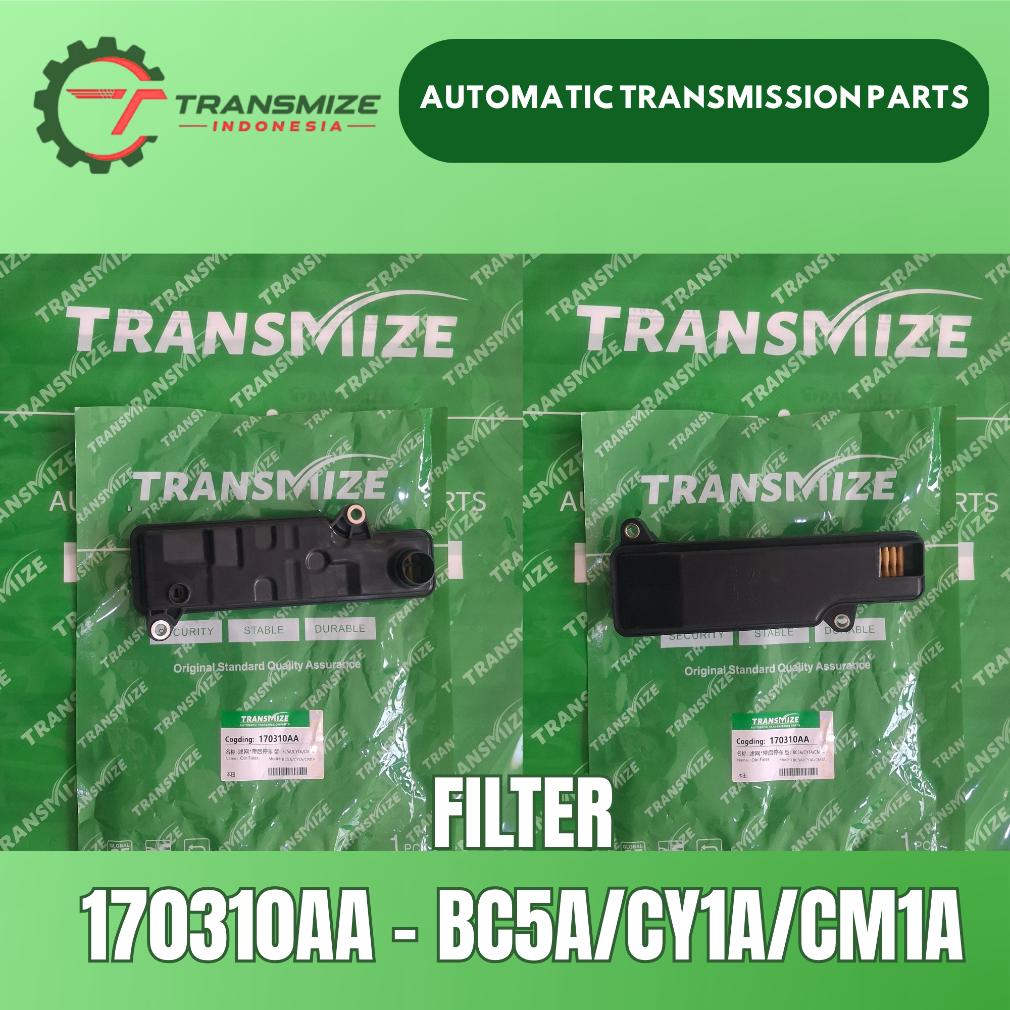Filter 170310AA
