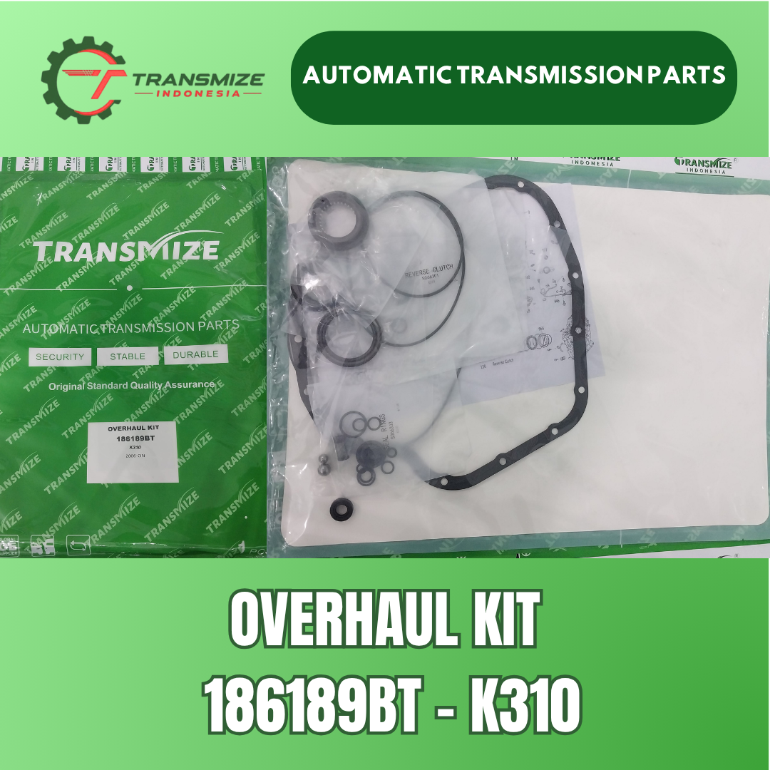 Overhaul Kit 186189BT - K310