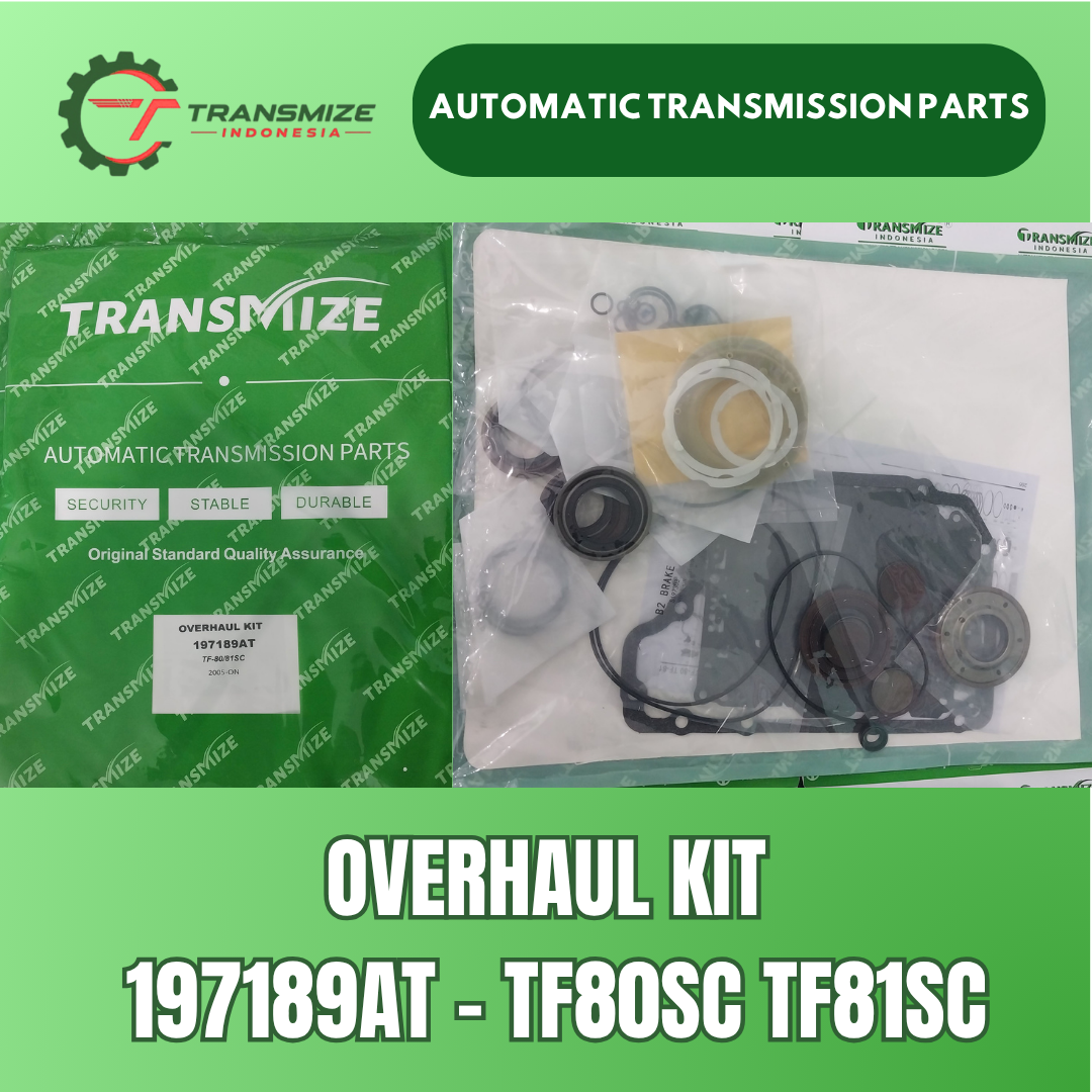 Overhaul Kit 197189AT
