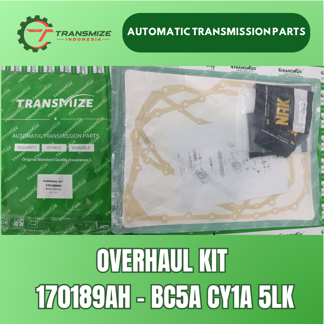 Overhaul Kit 170189AH