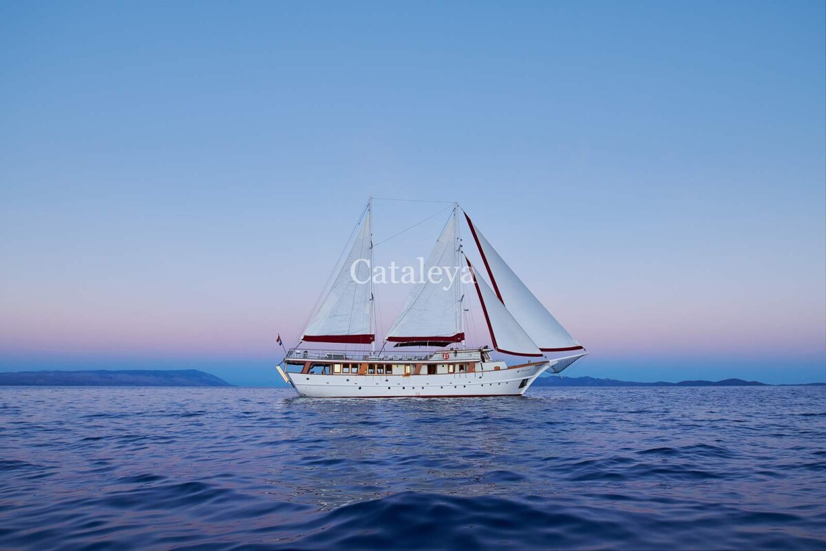 Cataleya
