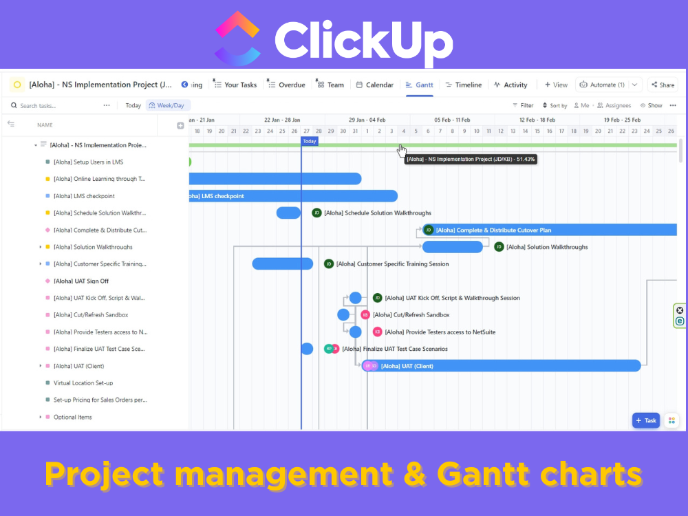 ClickUp Consulting & Setup