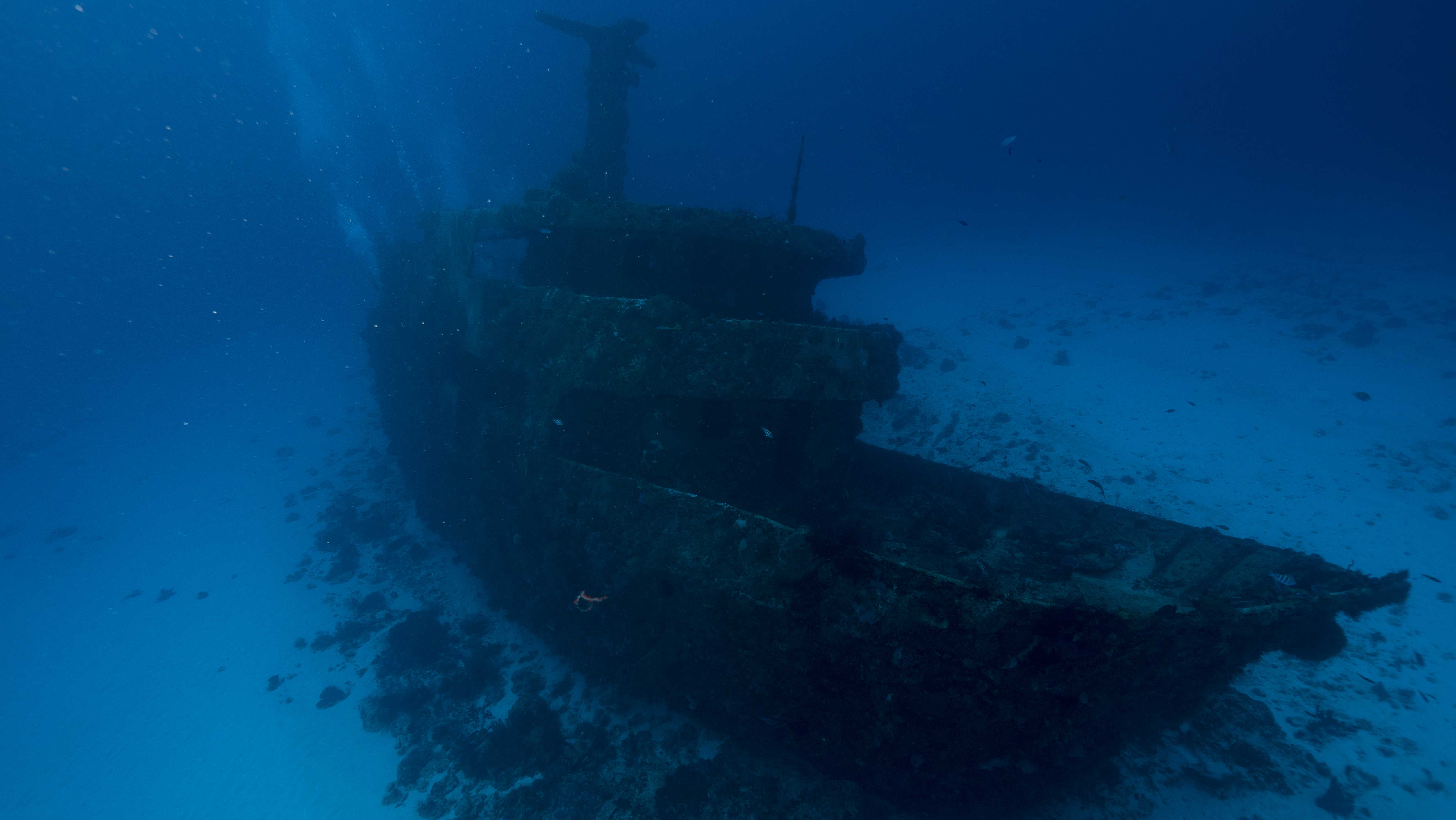 Curso PADI Deep Diver en Playa del Carmen