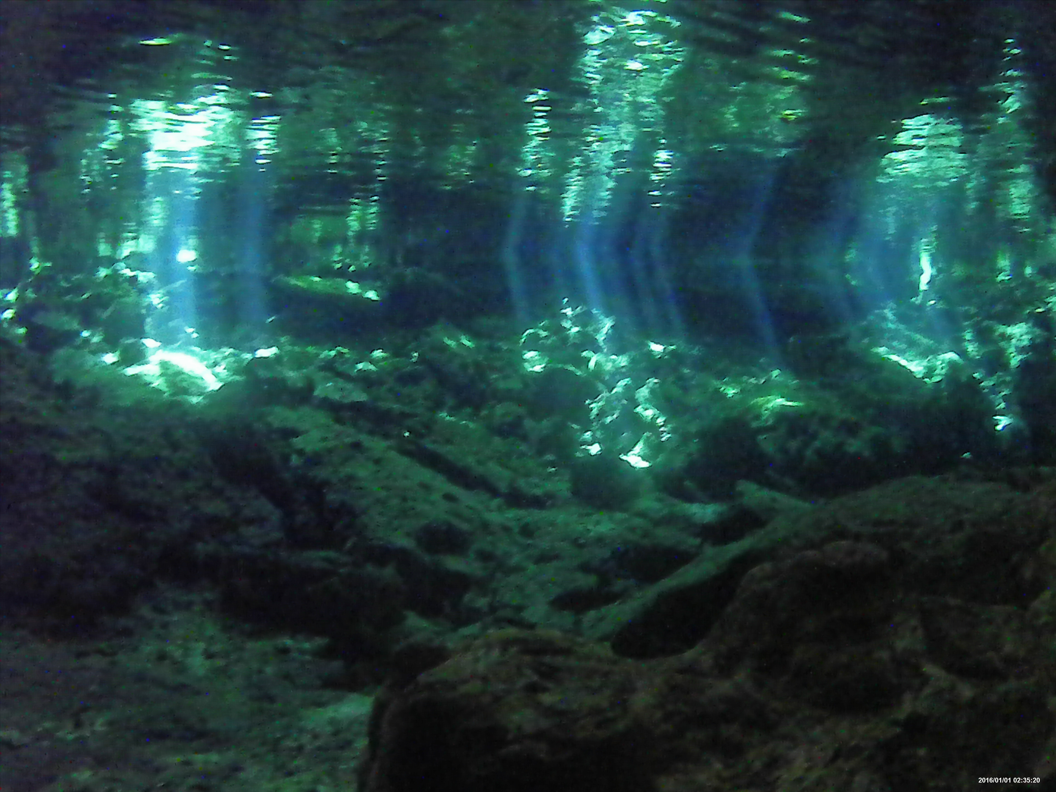 Snorkel en cenote