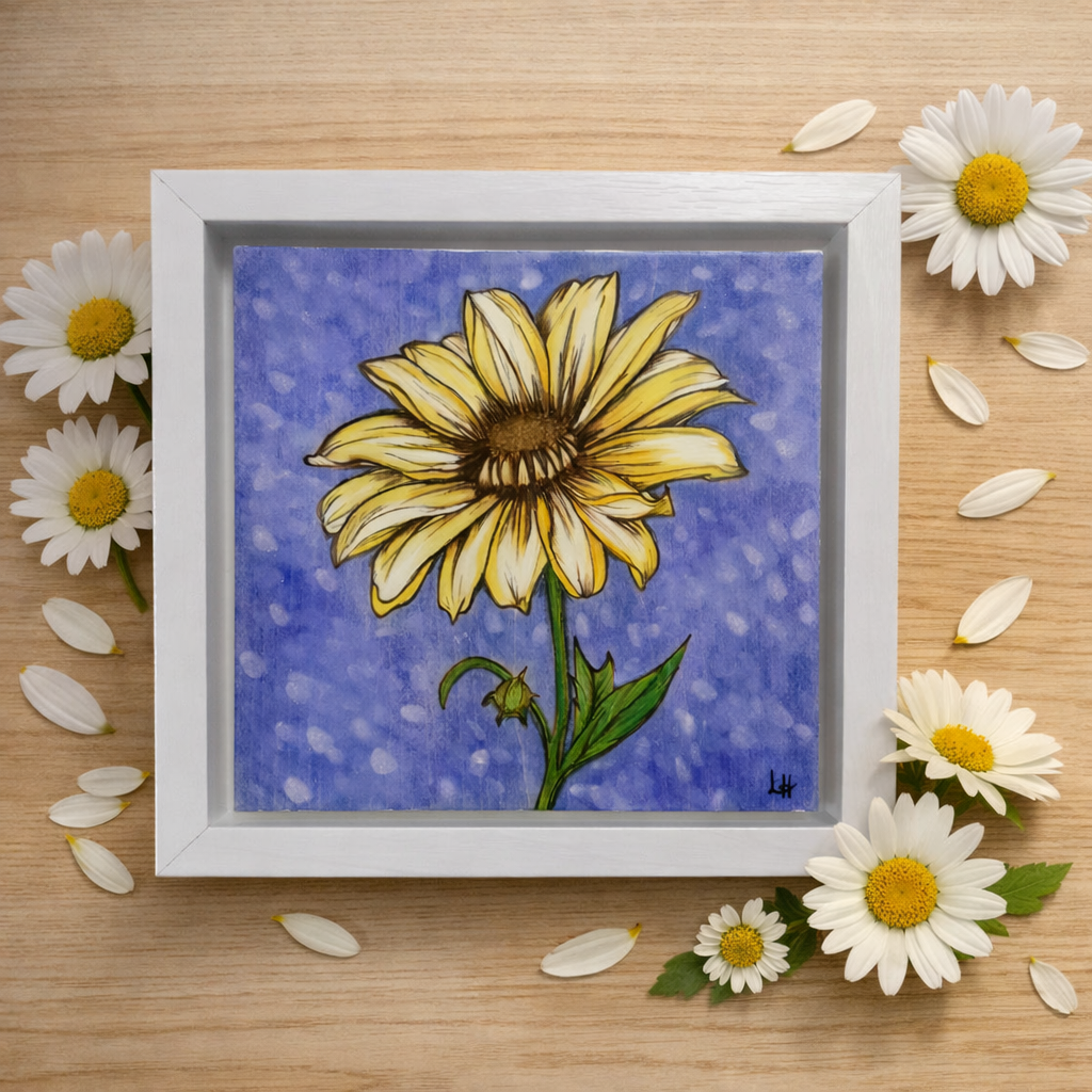 Khloe's Daisy
