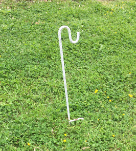 Ailse Hooks White (Shepards)