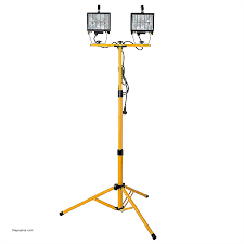 Light Floodlight on stand