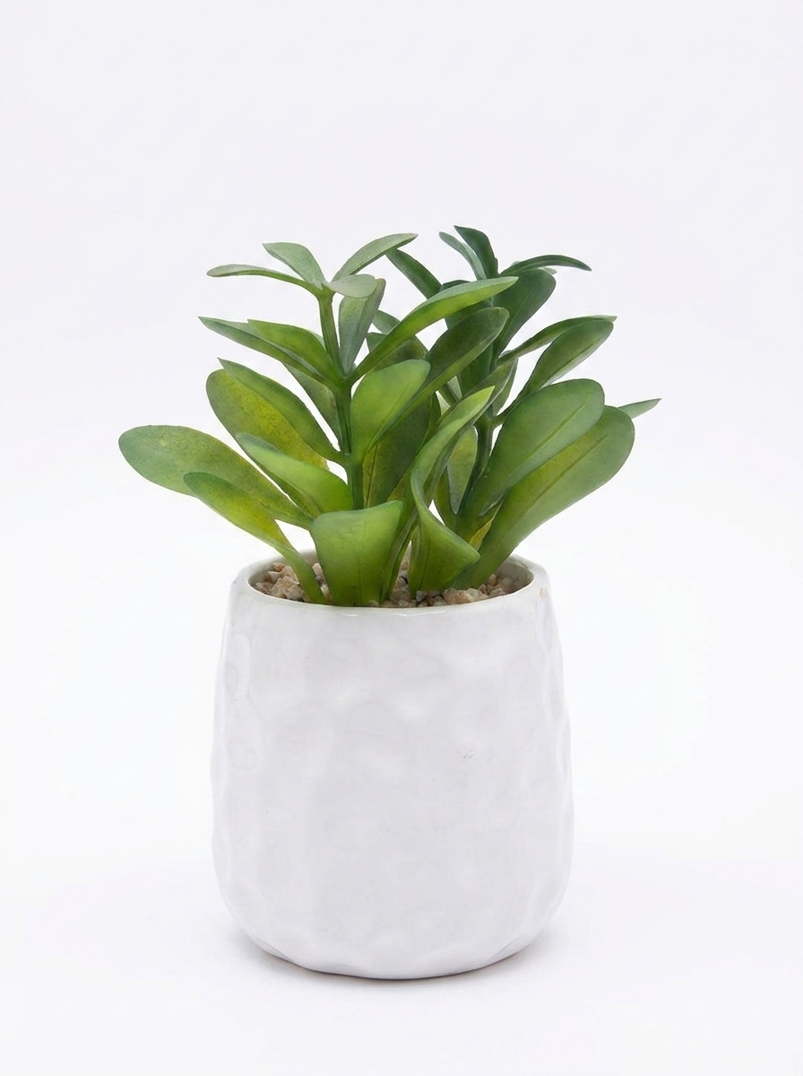 Suculenta artificial em vaso de cerâmica decoração