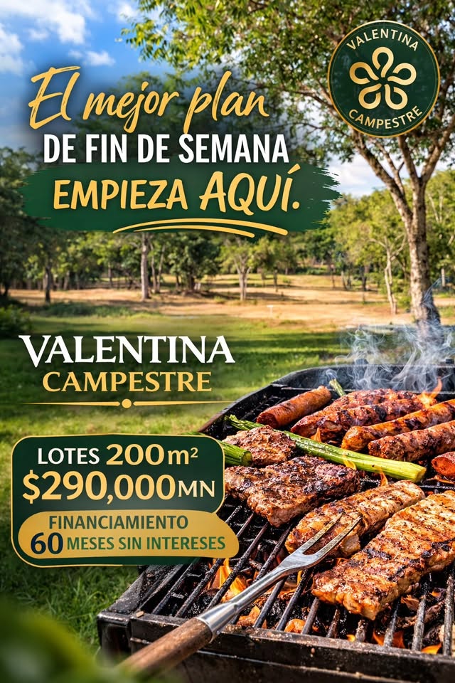 Valentina campestre