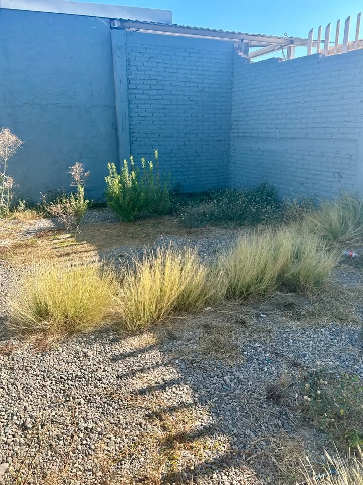 Avenida Internacional - Terreno en renta 