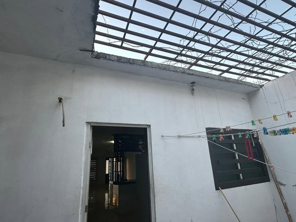 Flores Magón