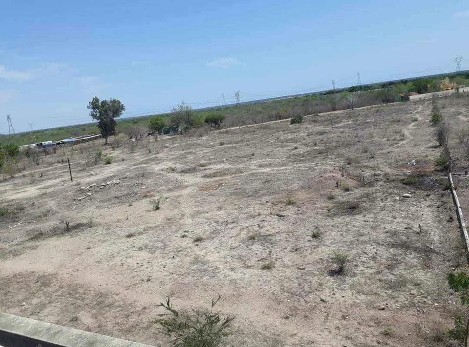 Terreno 1/2 hectárea o hectárea completa. 