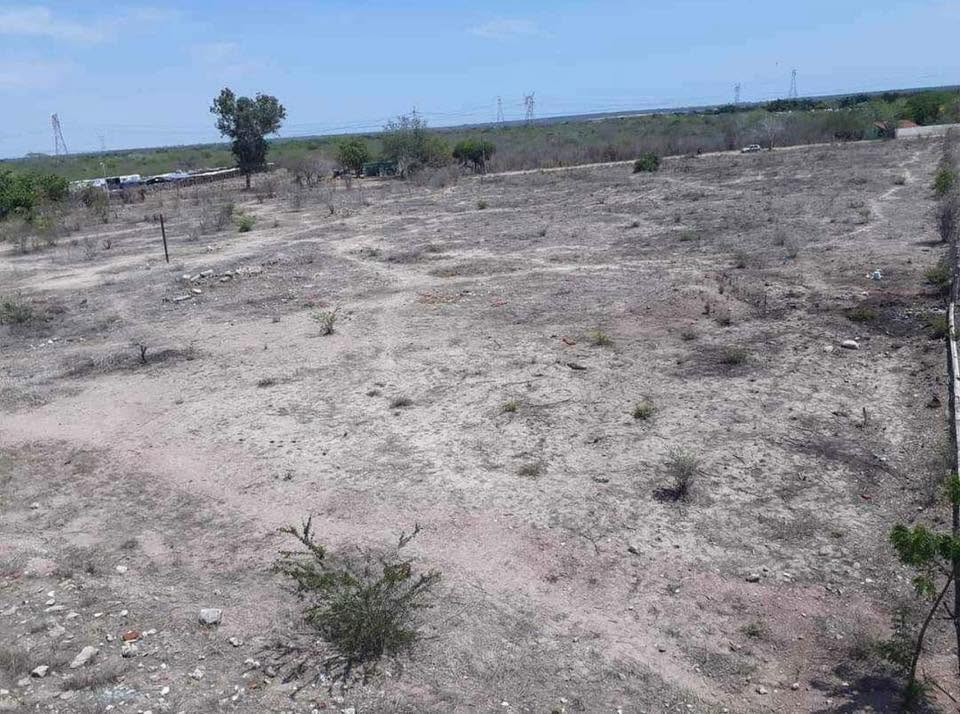Terreno 1/2 hectárea o hectárea completa. 
