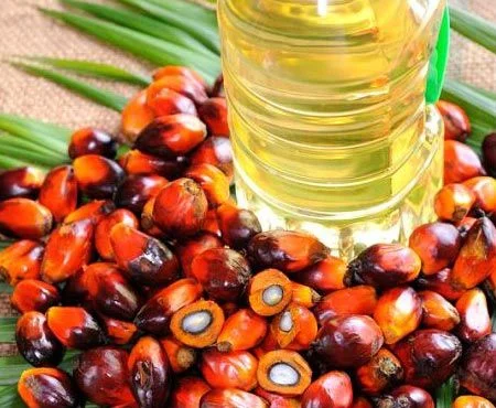 Palm Kernnel Oil