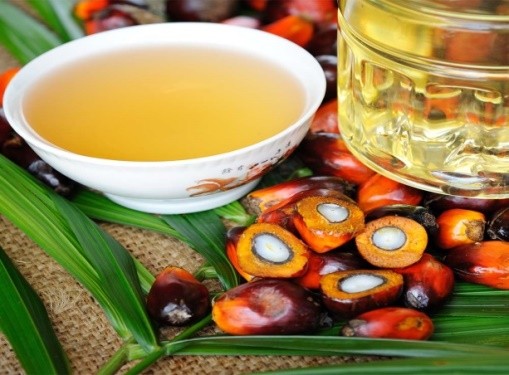 Palm Kernnel Oil
