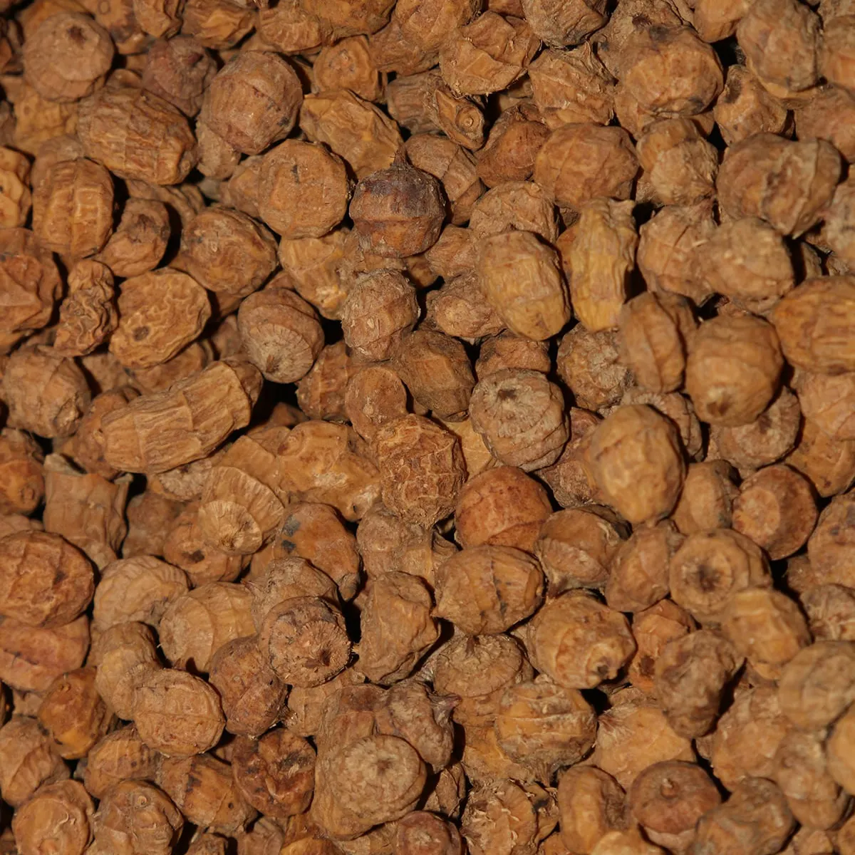 Premium Dried Tiger Nuts ( Cyperus Esculentus , Chufa Nuts, Aya Nuts, Earth Almond or Hausa Nuts )
