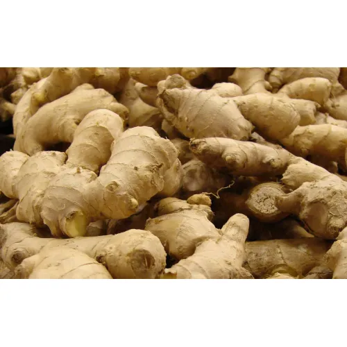 Fresh Whole Ginger