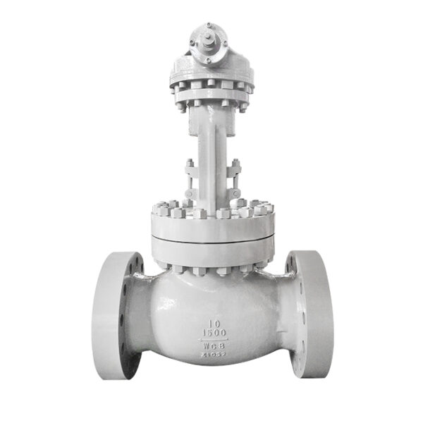 Globe Valves