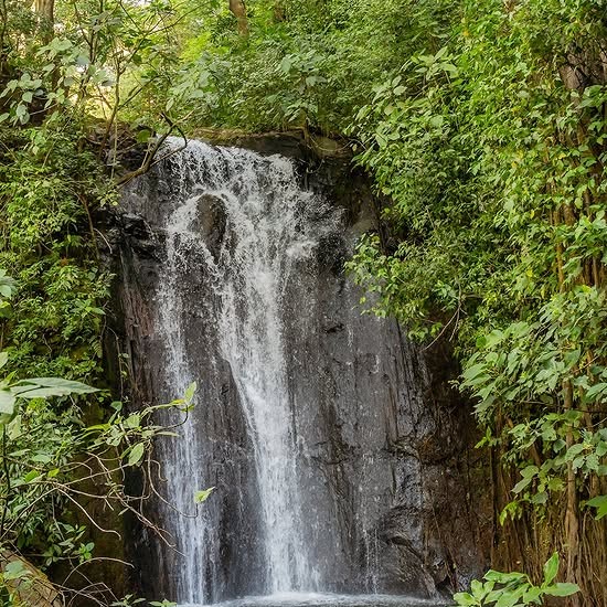 Borinquen Adventure & Hot Springs
