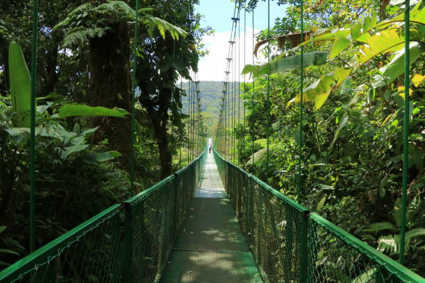 Monteverde Cloud Forest 