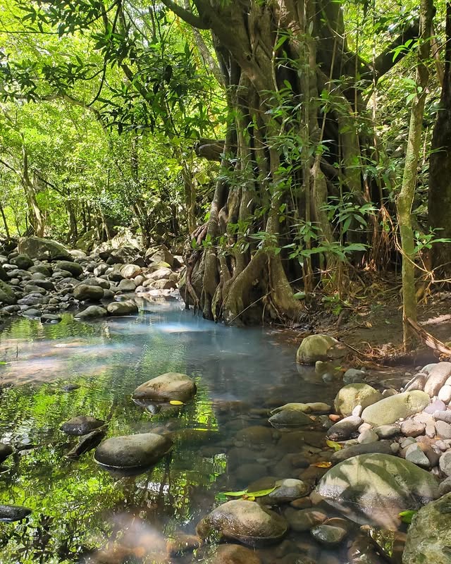 Rincon de la Vieja Volcano & Waterfall Adventure