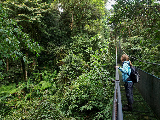 Monteverde Cloud Forest