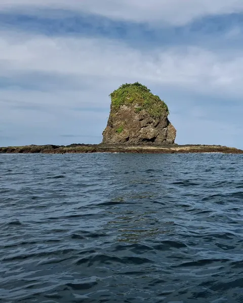 Sport Fishing Charter