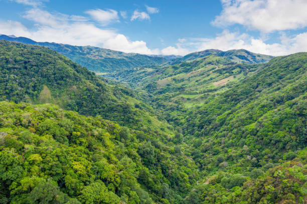 Monteverde Cloud Forest 
