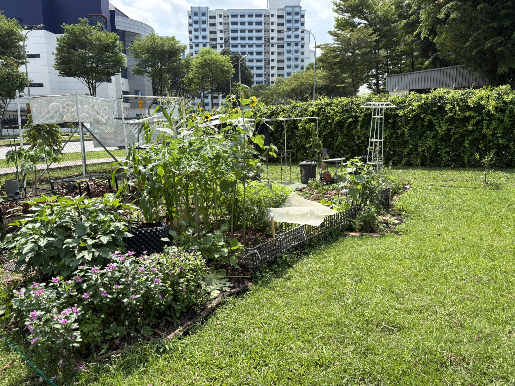 Guided Garden Walk