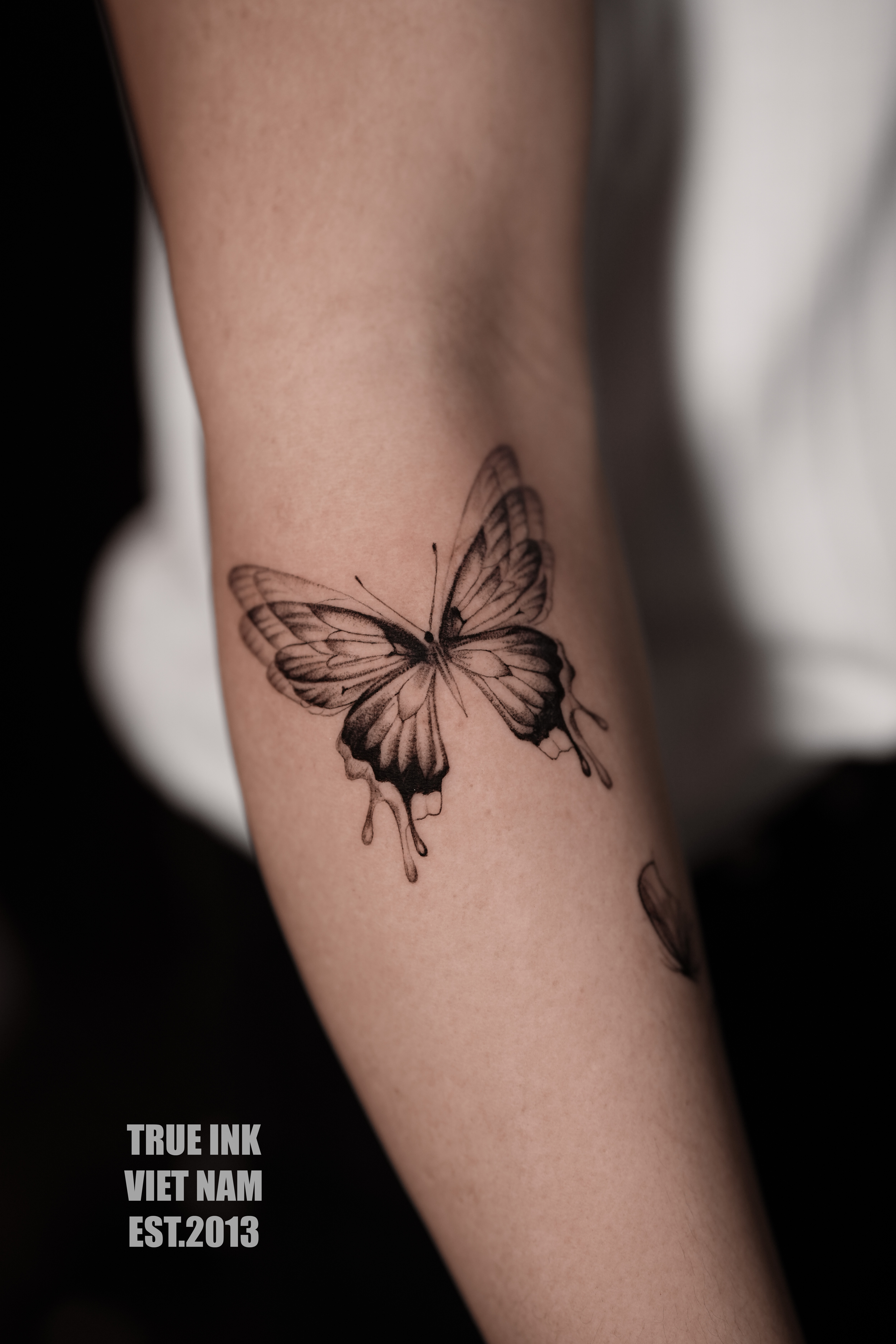 Scar Cover Butterfly