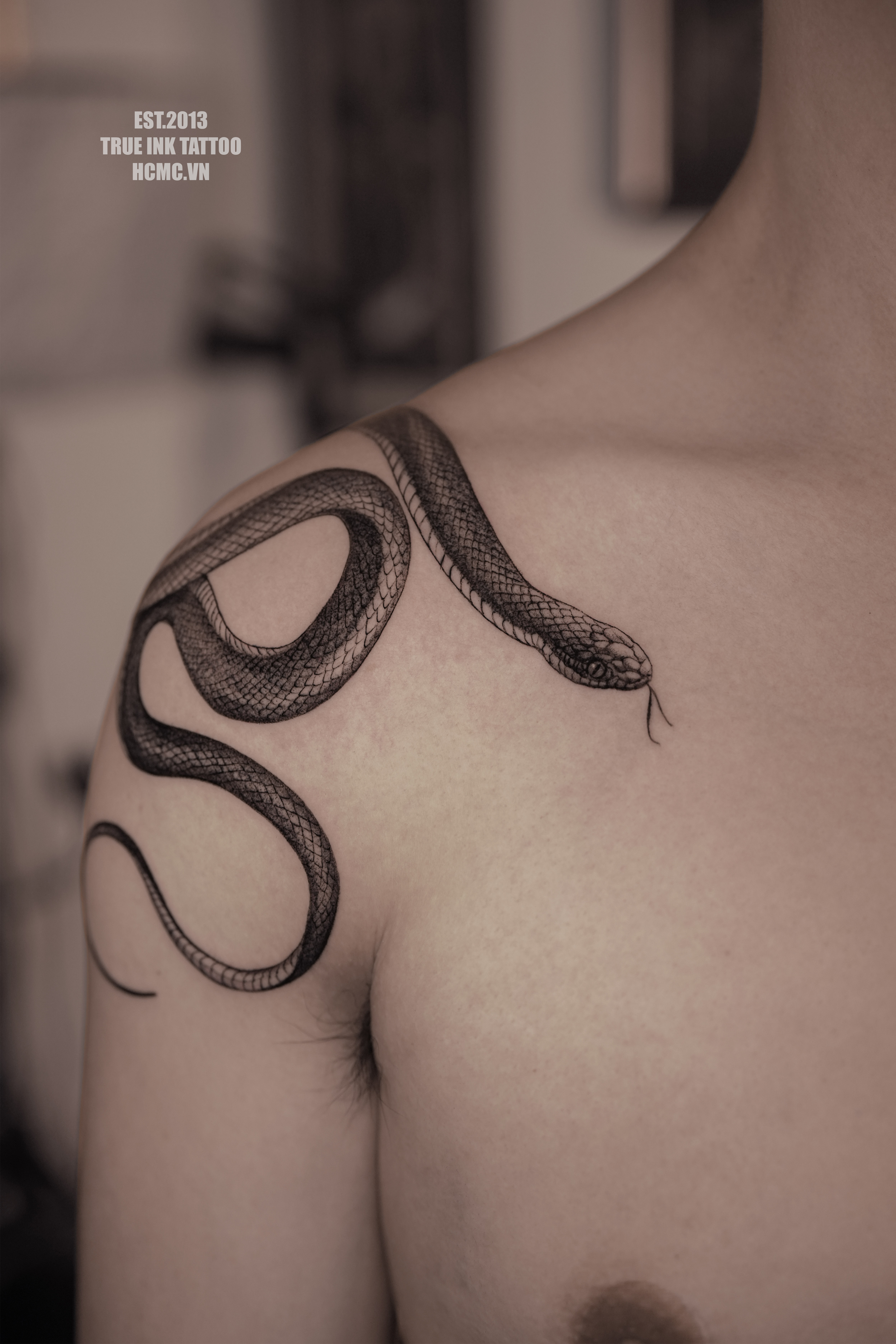 Silent Snake Guardian