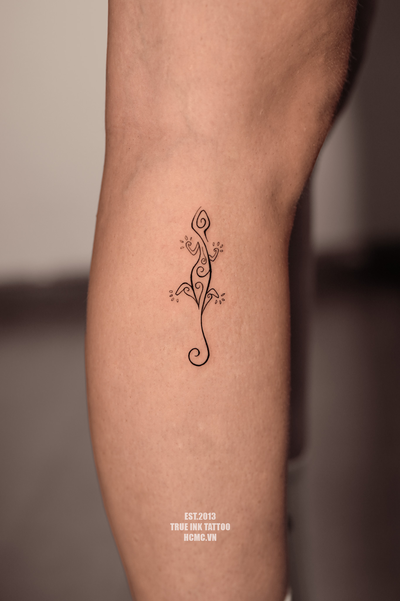 Tribal Gecko