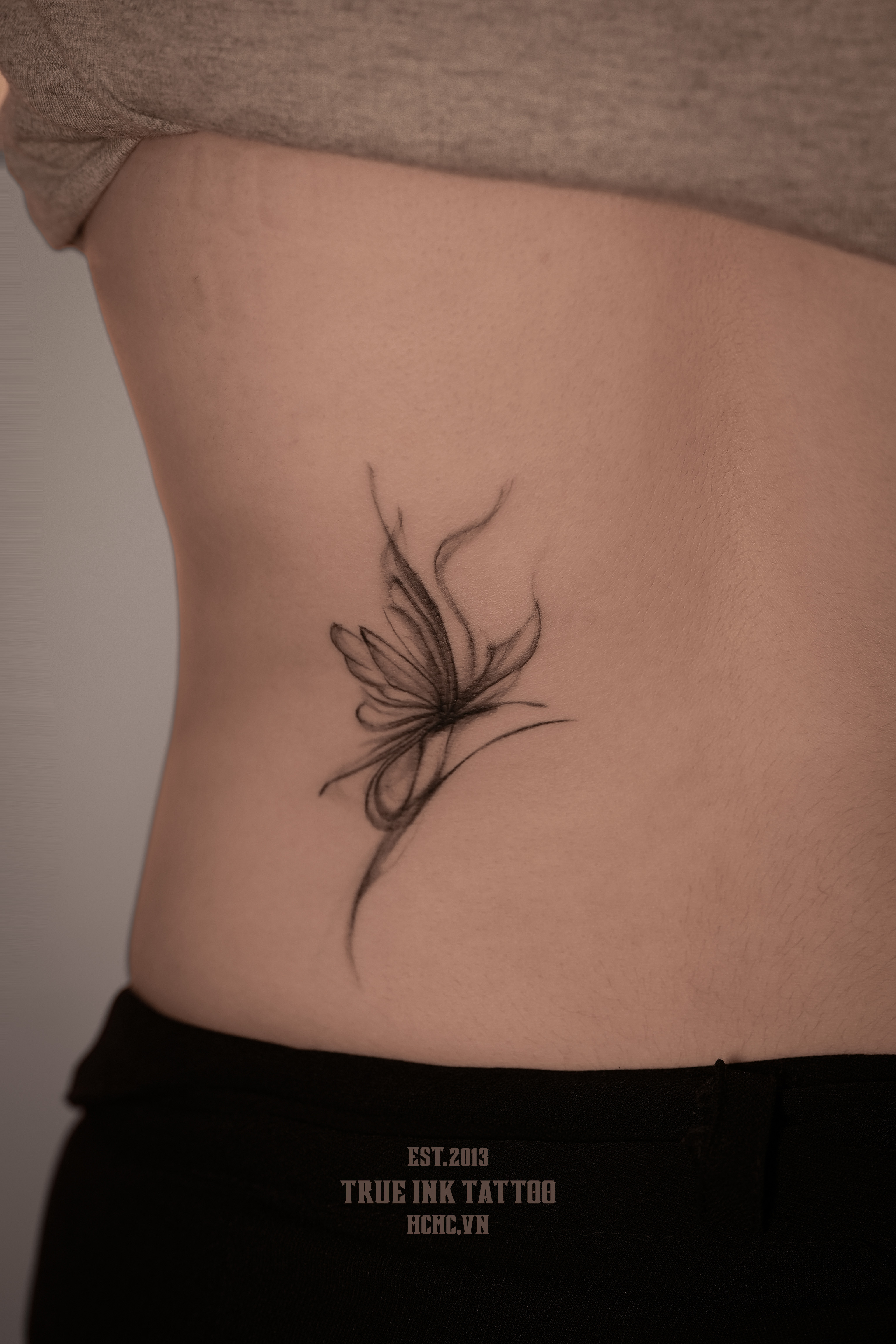 Abstract Butterfly