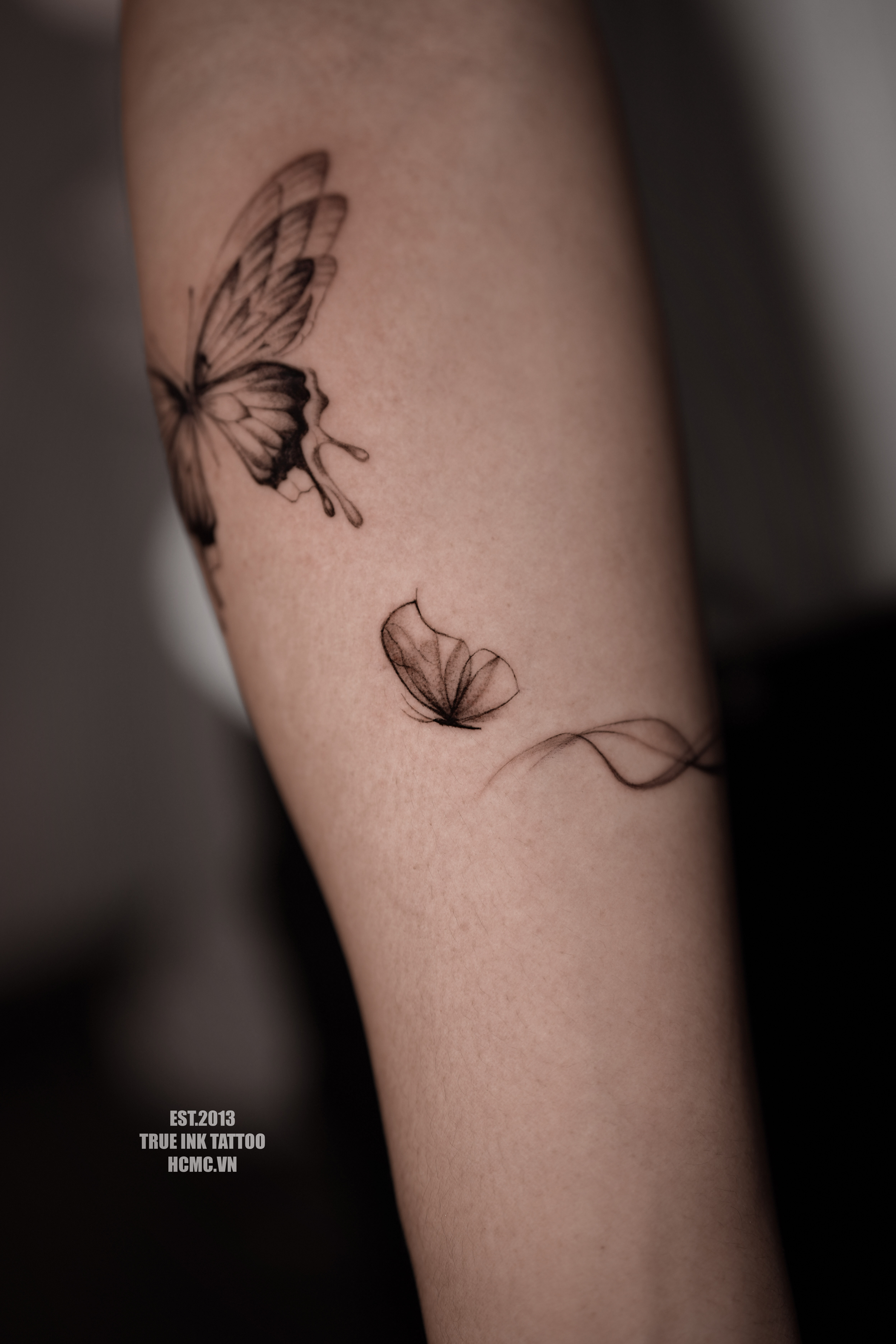 Scar Cover Butterfly