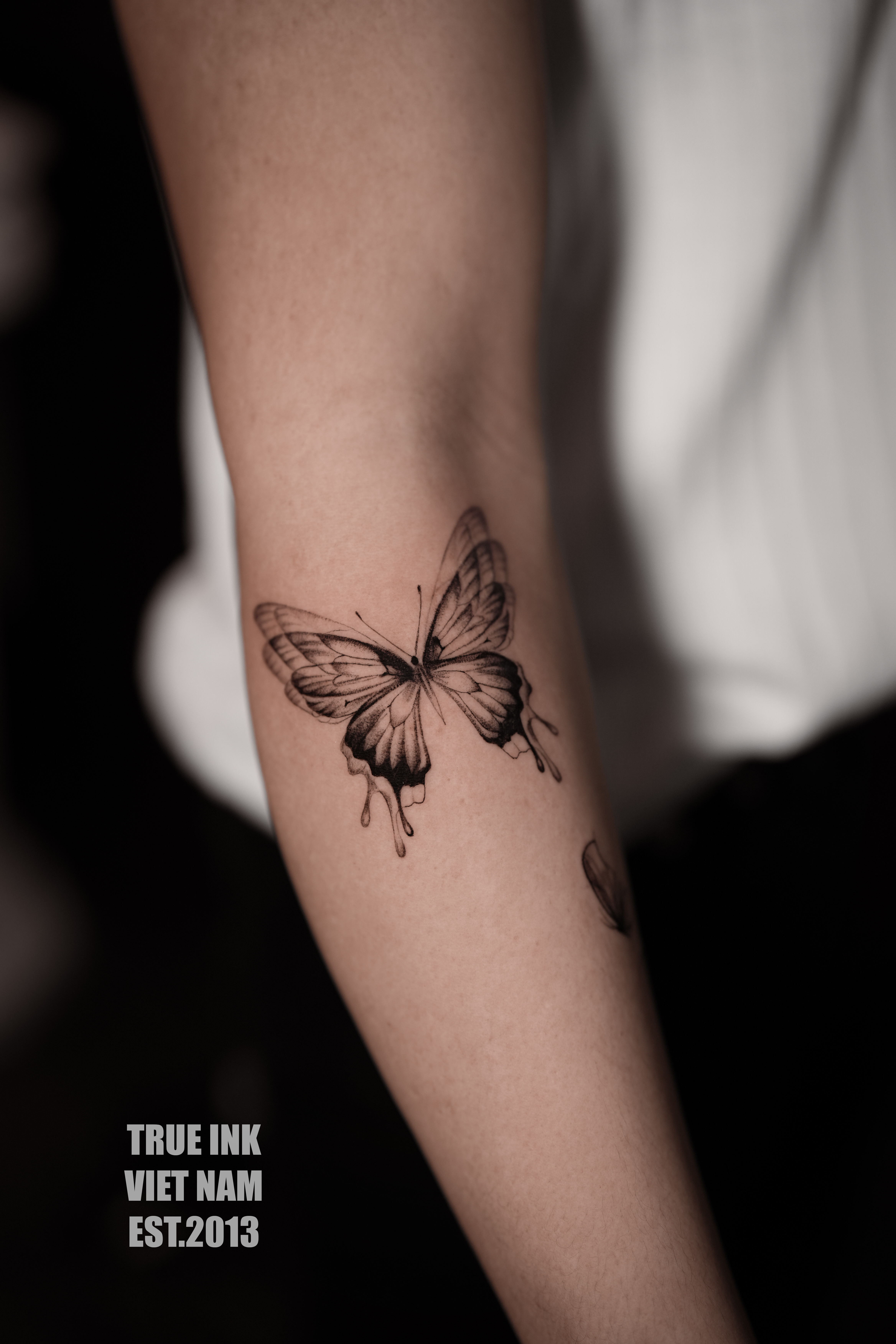 Scar Cover Butterfly