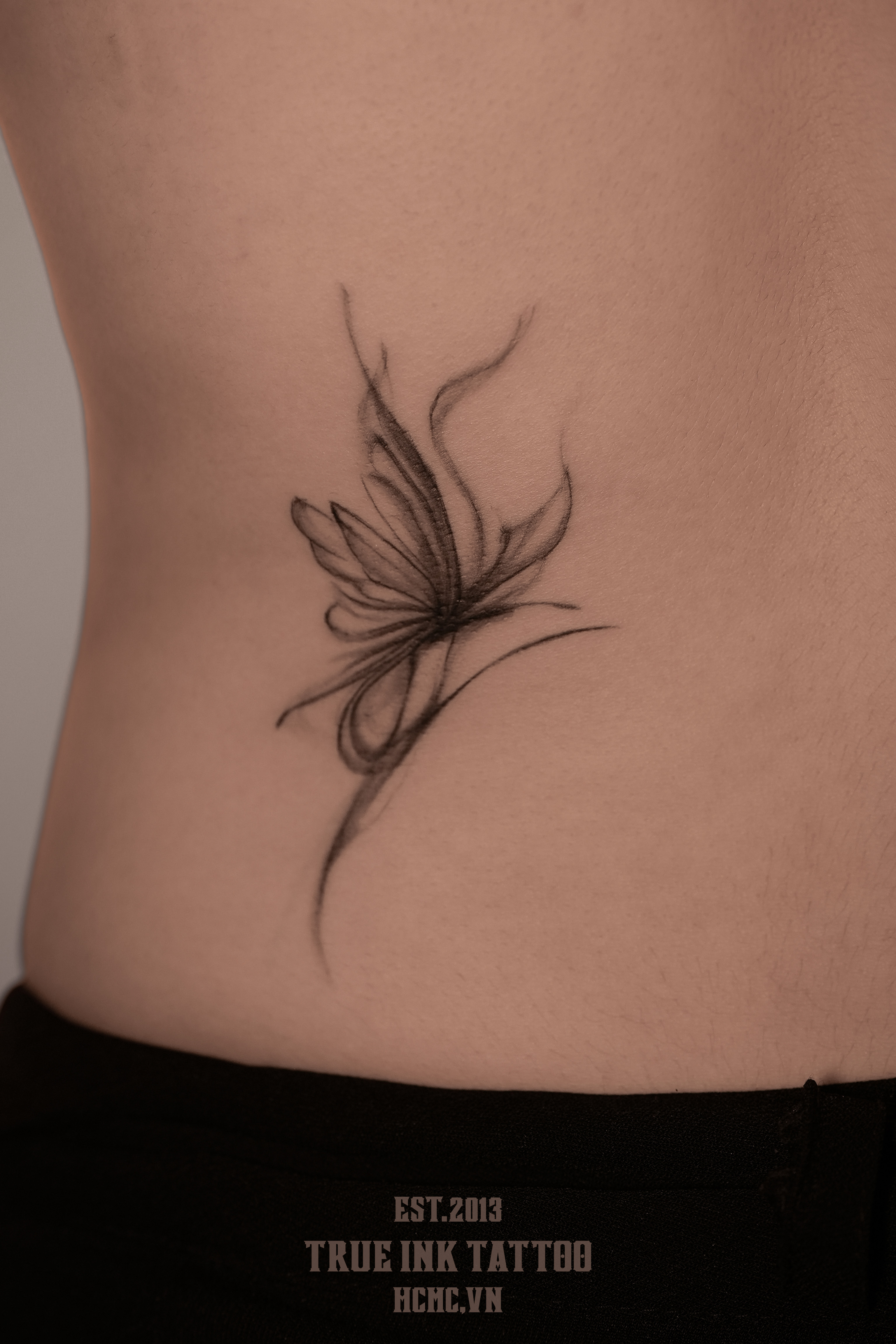 Abstract Butterfly