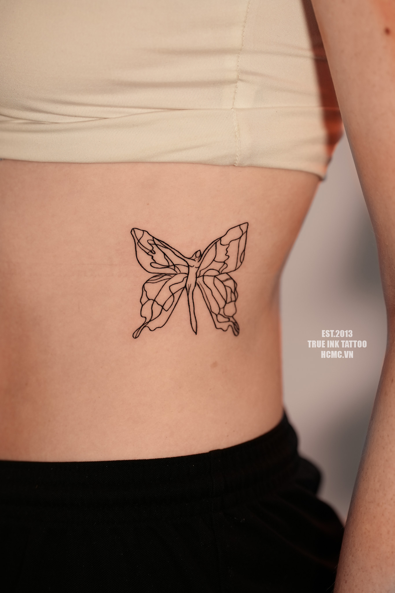 Butterfly Outline