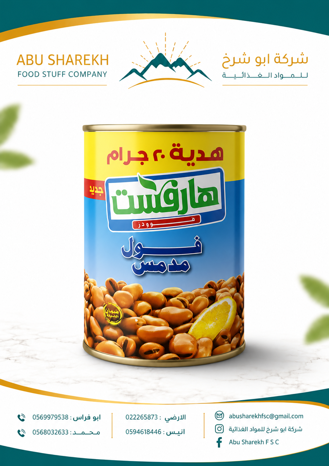 فول مدمس هارفست