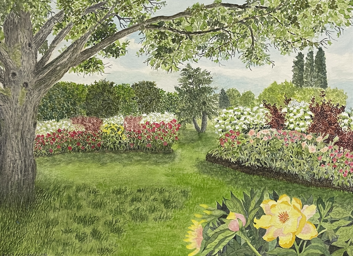 Spring At The Farm