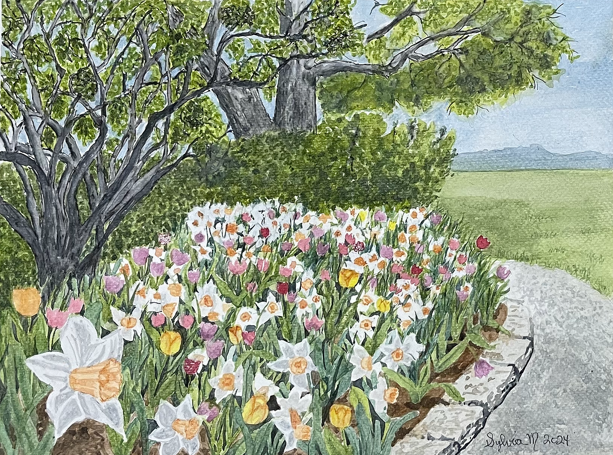 Festival Of Spring