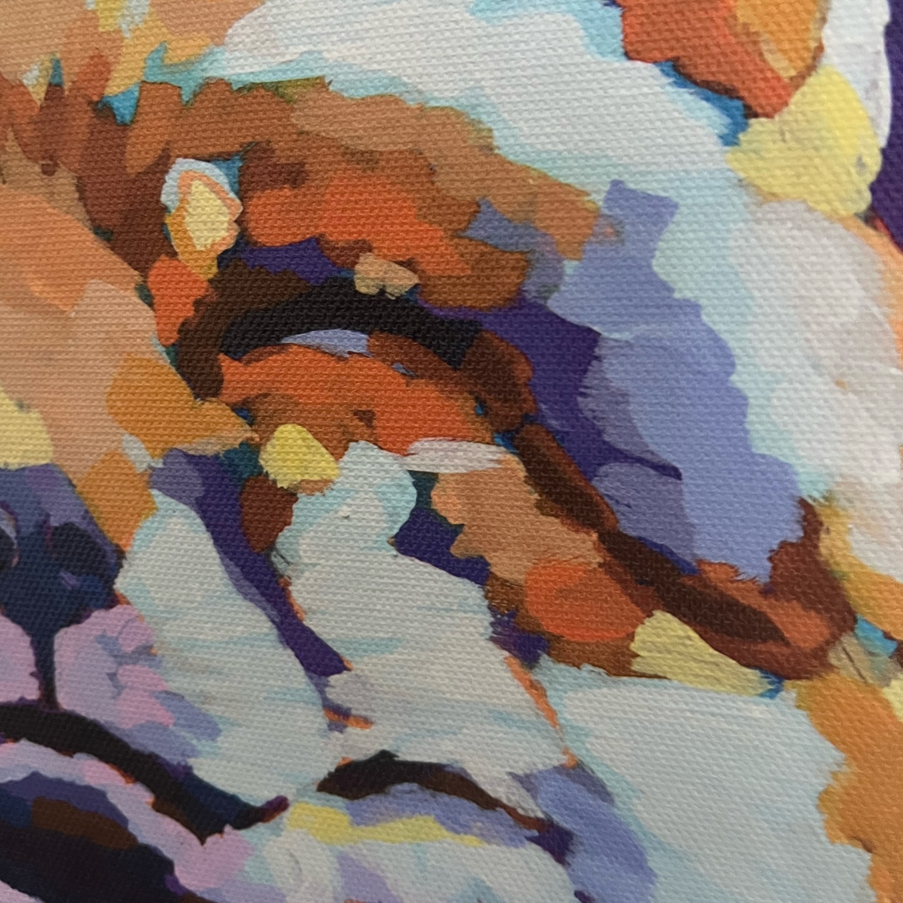 HAPPY FOX  - printed canvas