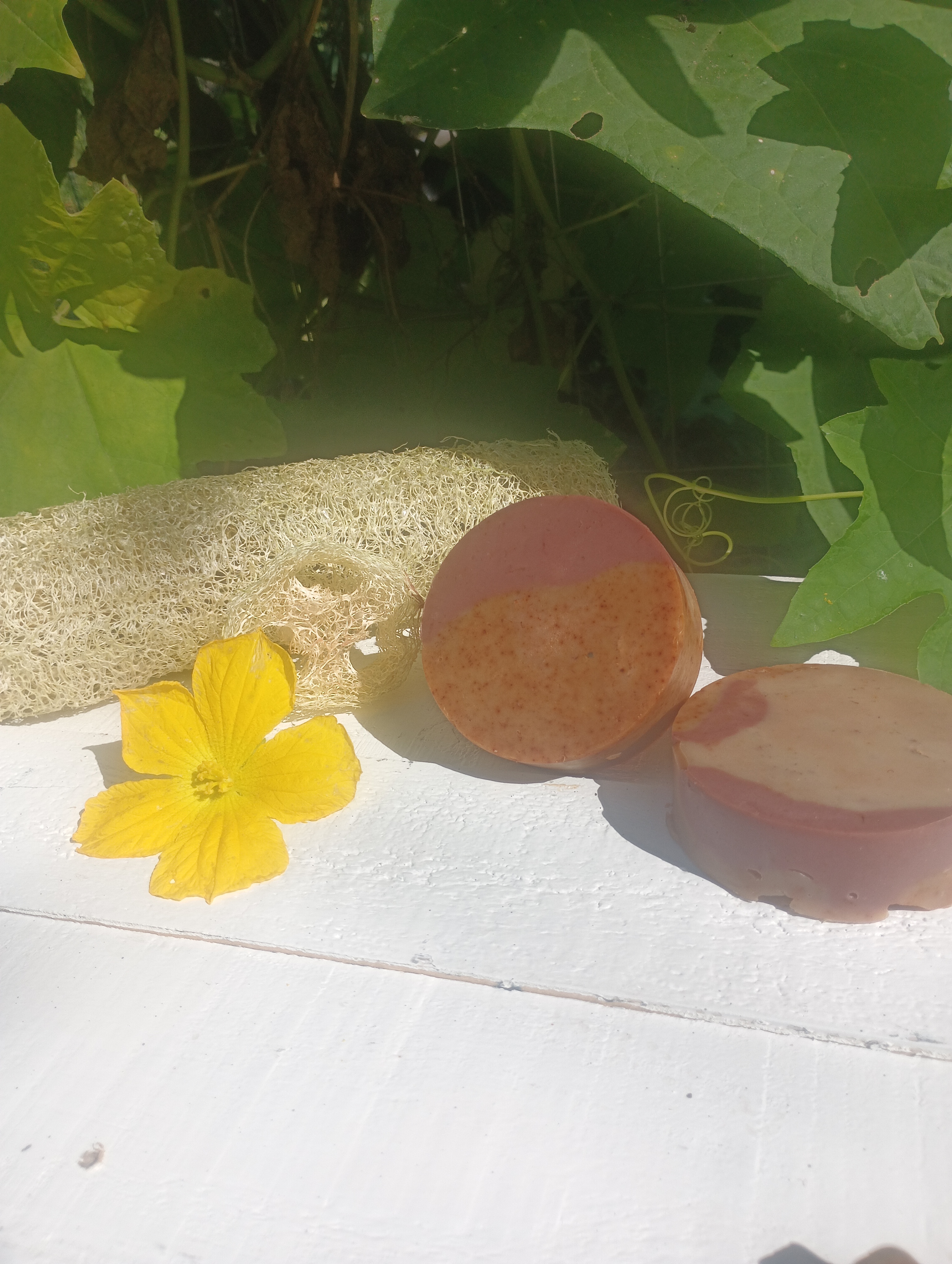 Loofa Goat Milk Soap 