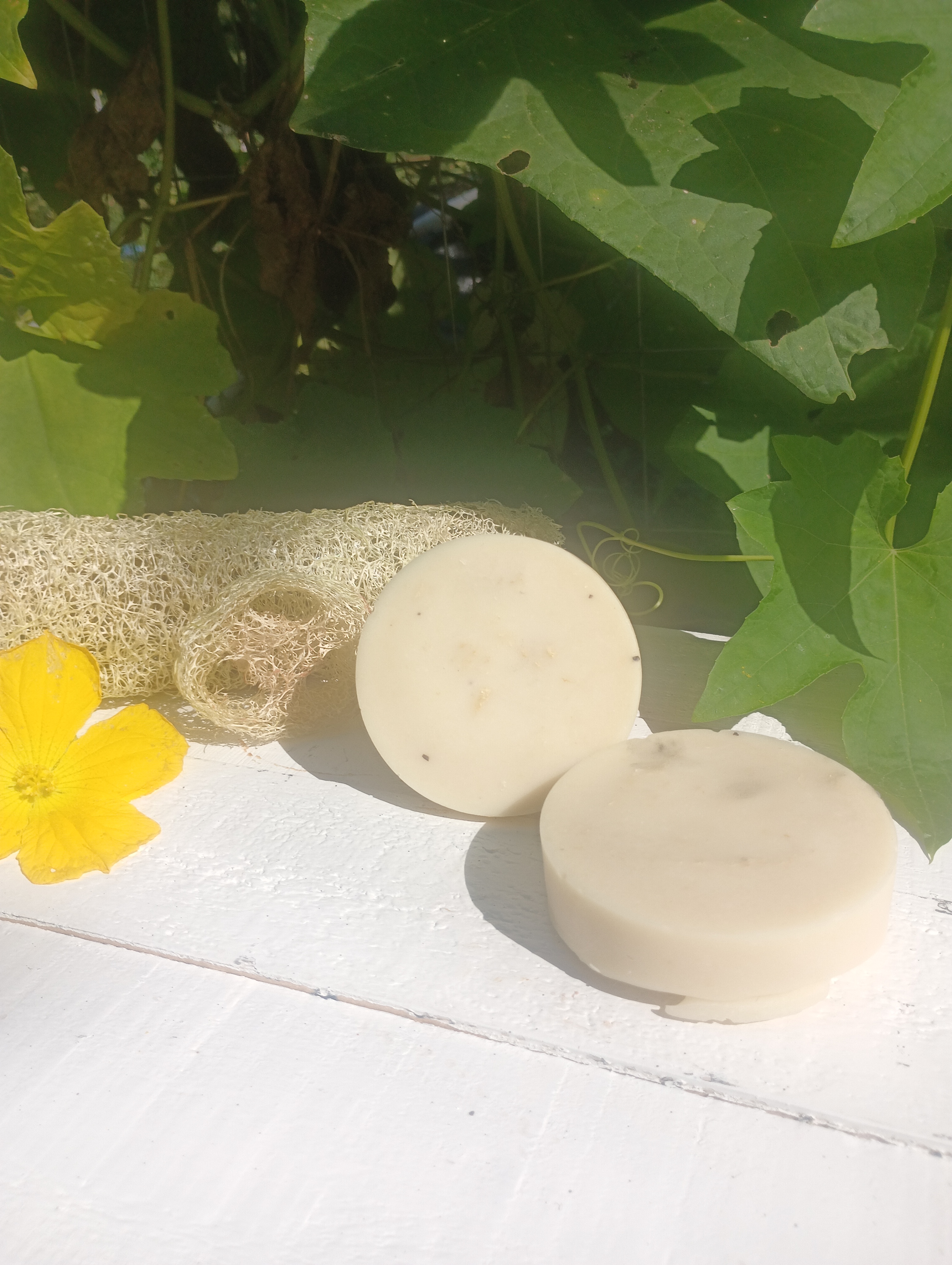 Loofa Goat Milk Soap 