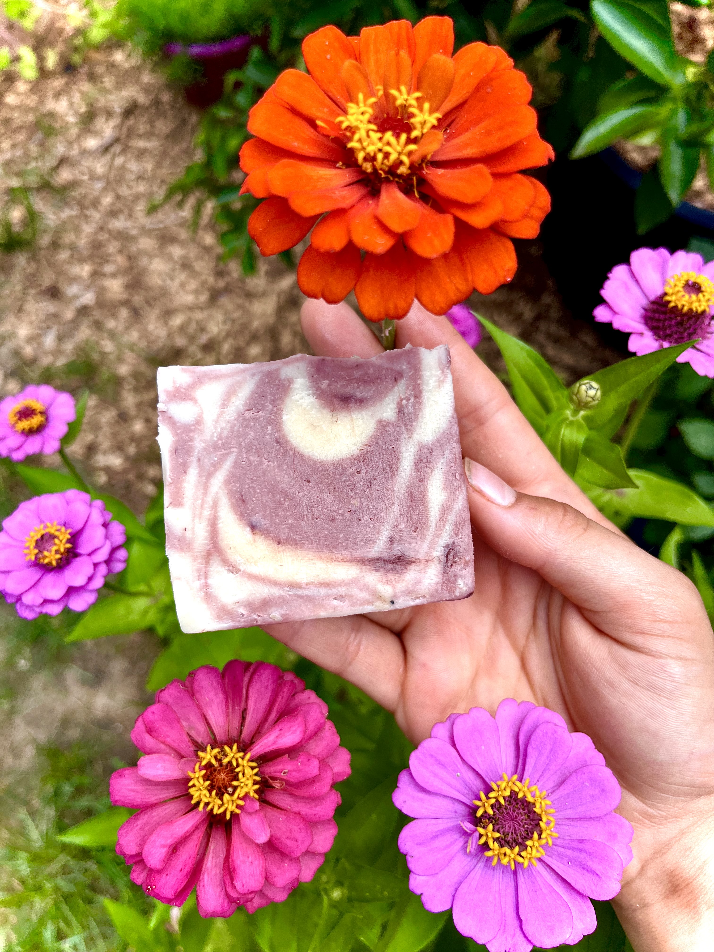 Goat Milk Soaps For Summer 