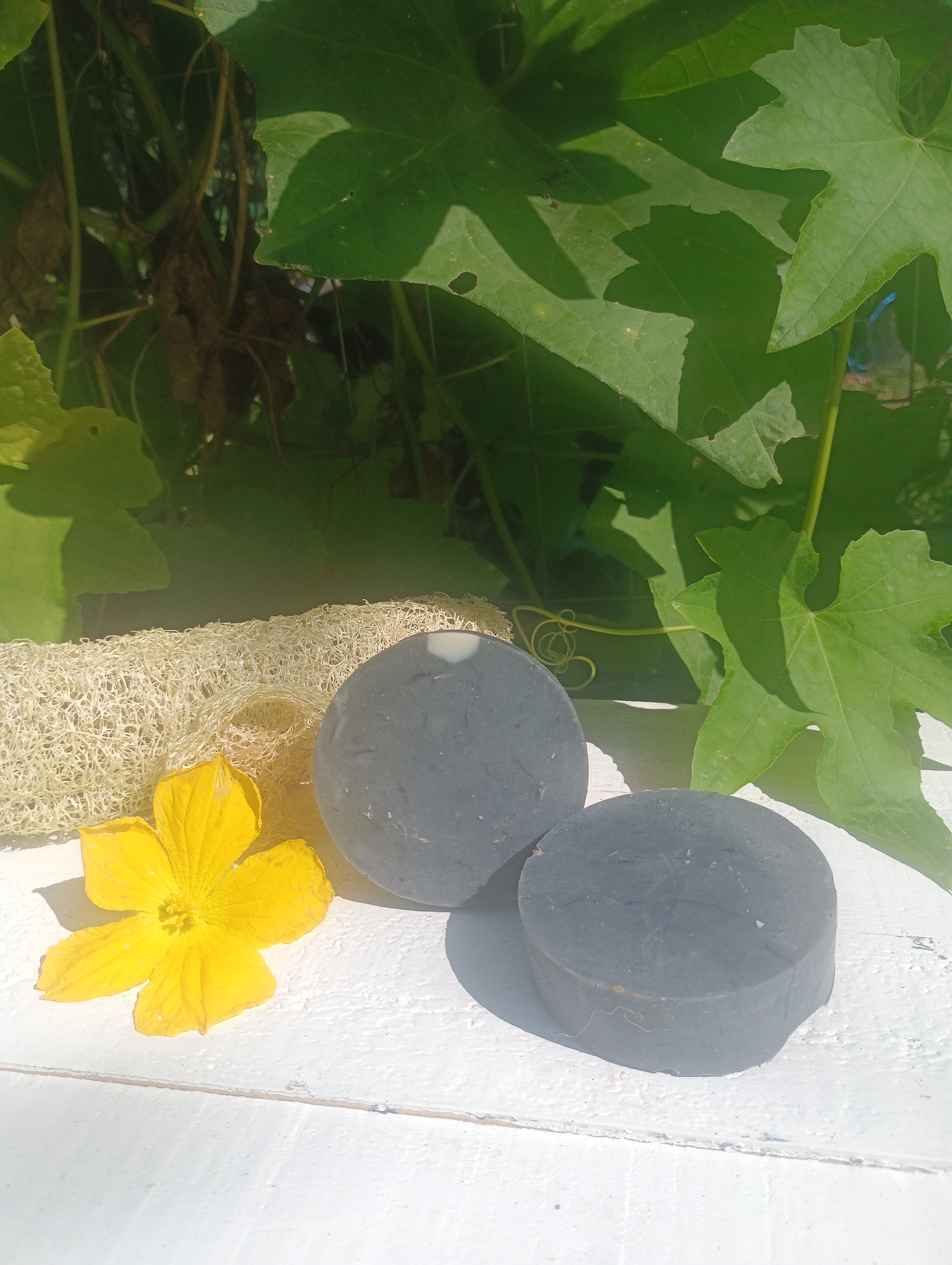 Loofa Goat Milk Soap 